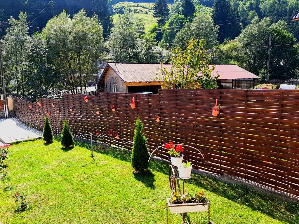 Villa Casa Teodor Rucăr Exterior foto